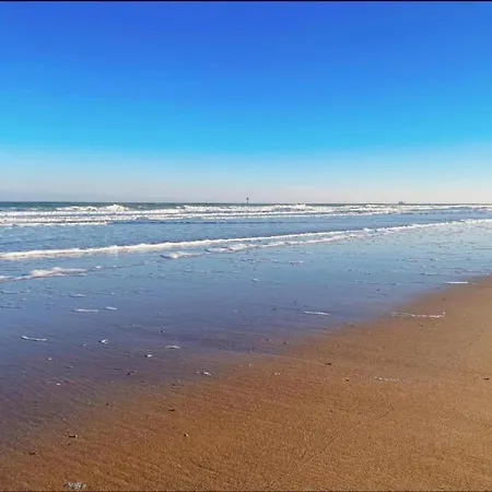 On Belgian Coast Near Beaches Appartement