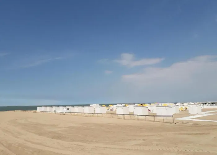 Appartement On Belgian Coast Near Beaches *