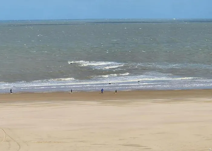 On Belgian Coast Near Beaches