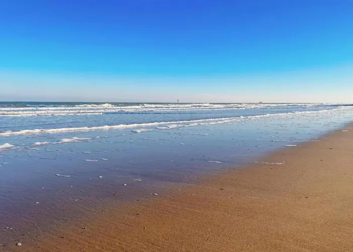 On Belgian Coast Near Beaches Appartement