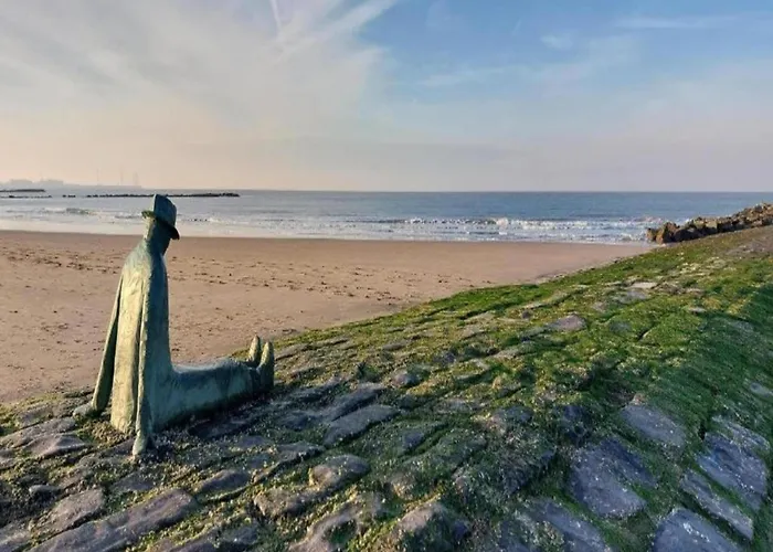 On Belgian Coast Near Beaches Knokke-Heist