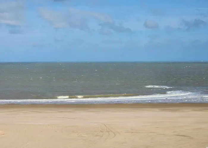 Appartement On Belgian Coast Near Beaches