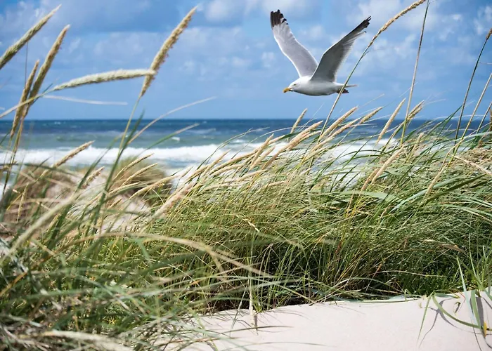 On Belgian Coast Near Beaches Appartement *